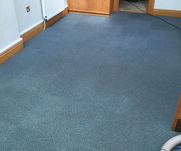 Specialist Carpet Cleaning