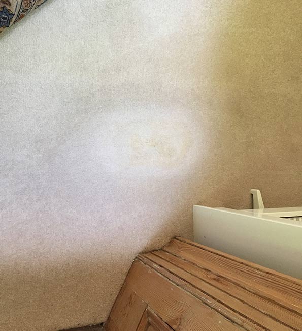 Stain Removal