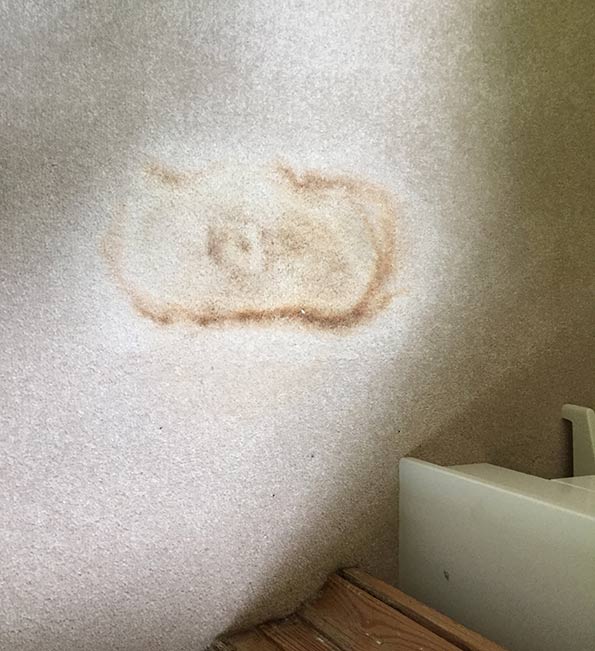 Stain Removal