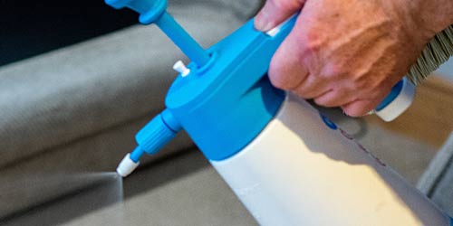 Stain Protection Service