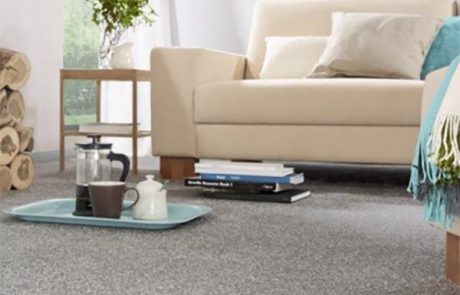 Specialist Carpet Cleaning in Dover